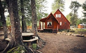 Llaima Camp